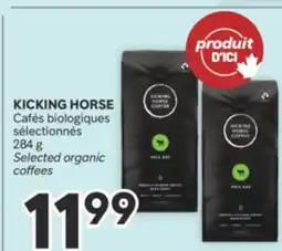 Brunet KICKING HORSE Cafés biologiques sélectionnés offer