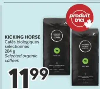 Brunet KICKING HORSE Cafés biologiques sélectionnés offer
