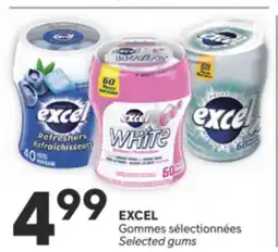 Brunet EXCEL Gommes sélectionnées offer