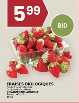 Rachelle-Bery Grocery ORGANIC STRAWBERRIES offer