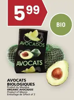 Rachelle-Bery Grocery ORGANIC AVOCADOS offer