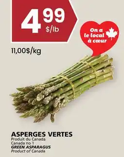 Rachelle-Bery Grocery GREEN ASPARAGUS offer