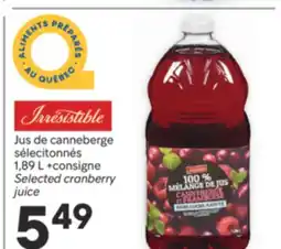 Brunet IRRESISTIBLE Jus de canneberge sélecitonnés offer