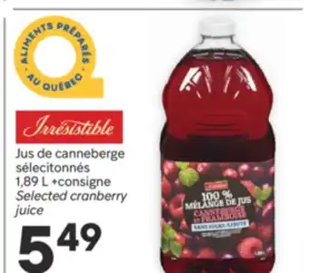 Brunet IRRESISTIBLE Jus de canneberge sélecitonnés offer
