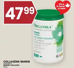Rachelle-Bery Grocery ORGANIKA MARINE COLLAGEN offer
