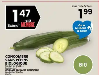 Rachelle-Bery Grocery ORGANIC SEEDLESS CUCUMBER offer