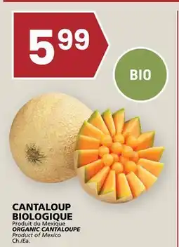 Rachelle-Bery Grocery ORGANIC CANTALOUPE offer