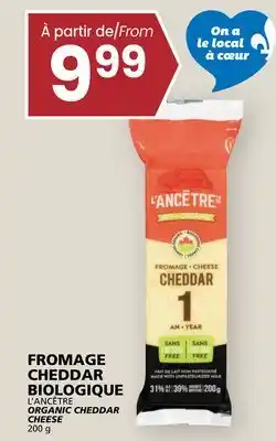 Rachelle-Bery Grocery L'ANCÊTRE ORGANIC CHEDDAR CHEESE offer