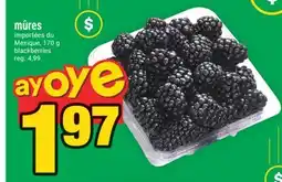 Super C mûres | blackberries offer