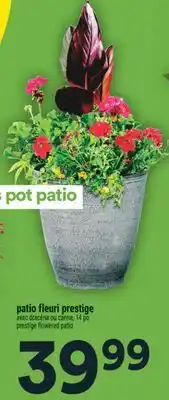 Super C patio fleuri prestige | prestige flowered patio offer