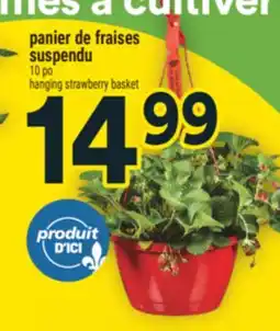 Super C panier de fraises suspendu | hanging strawberry basket offer