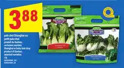 Maxi PAK-CHOÏ SHANGHAI OU PETIT PAK-CHOÏ | SHANGHAI OR BABY BOK CHOY, 1 LB offer