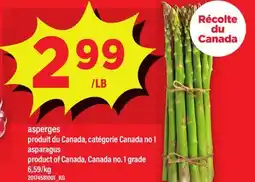 Maxi ASPERGES | ASPARAGUS offer