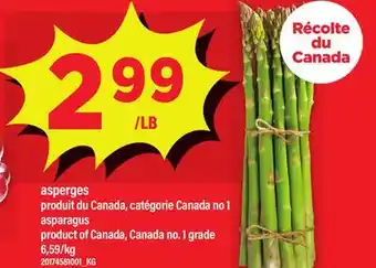 Maxi ASPERGES | ASPARAGUS offer
