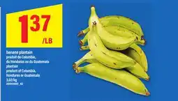 Maxi BANANE PLANTAIN | PLANTAIN offer