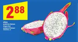 Maxi PITAYA | DRAGON FRUIT offer