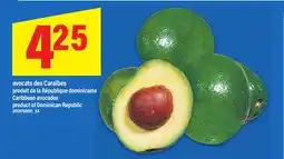 Maxi AVOCATS DES CARAÏBES | CARIBBEAN AVOCADOS offer