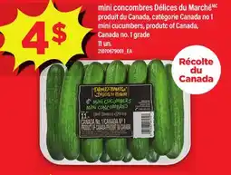 Maxi MINI CONCOMBRES DÉLICES DU MARCHÉ | MINI CUCUMBERS, 11 un offer