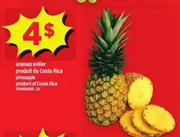 Maxi ANANAS ENTIER | PINEAPPLE offer