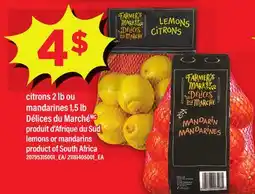Maxi CITRONS, 2 LB OU MANDARINES, 1,5 LB DÉLICES DU MARCHÉ | LEMONS OR MANDARINS offer