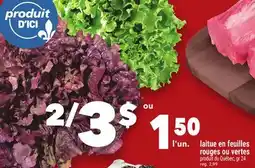 Marche Ami Laitue En Feuilles Rouges Ou Vertes offer