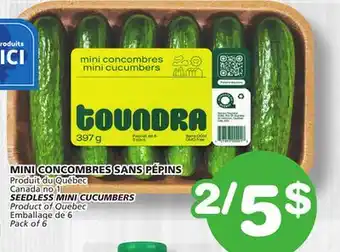 Marches Tradition SEEDLESS MINI CUCUMBERS offer