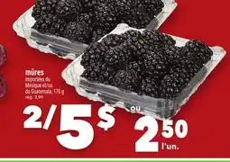 Marche Ami MÛRES offer