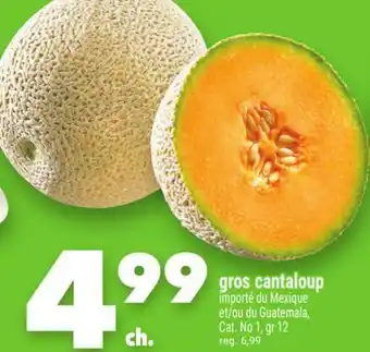 Marche Ami GROS CANTALOUP offer