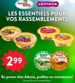 Marché Adonis LANTANA, FONTAINE SANTÉ LES ESSENTIELS POUR VOS RASSEMBLEMENTS offer