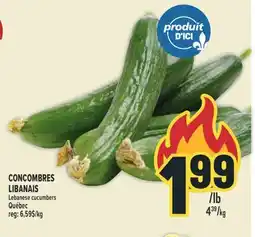 Marché Adonis CONCOMBRES LIBANAIS | LEBANESE CUCUMBERS offer