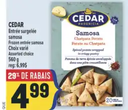 Marché Adonis CEDAR Entrée | samosa offer