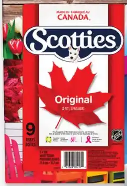 Proxim SCOTTIES Facial tissues offer