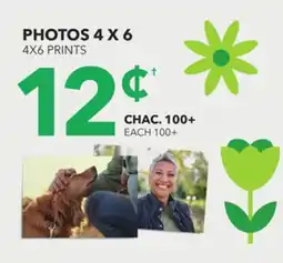Proxim 4X6 PRINTS offer