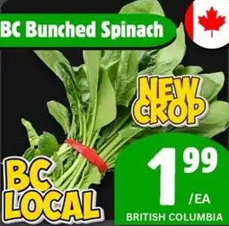 The Old Farm Market BC bunched spinach offer