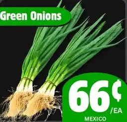 The Old Farm Market Green onions offer