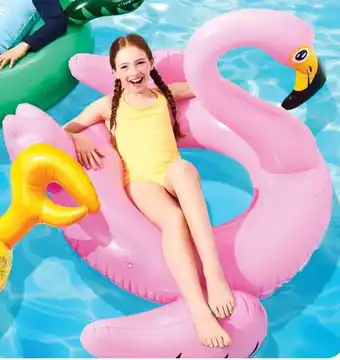 Walmart Novelty Pool Floats offer