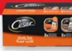 Walmart Cesar Wet Dog Food Value Pack offer