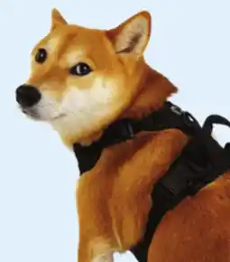 Walmart OnePaw Dog Harness offer