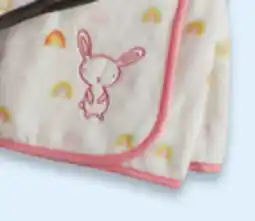 Walmart Plush Blanket offer