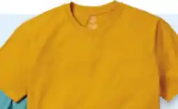 Walmart Men's Soft Wash Tee offer