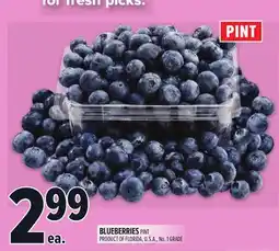 Metro BLUEBERRIES PINT offer