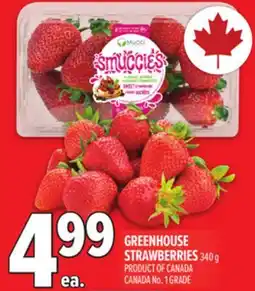 Metro GREENHOUSE STRAWBERRIES offer