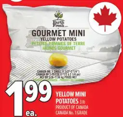 Metro YELLOW MINI POTATOES offer