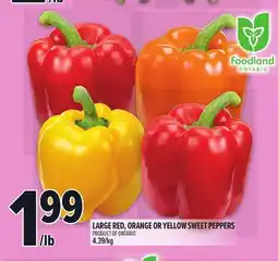 Metro LARGE RED, ORANGE OR YELLOW SWEET PEPPERS offer