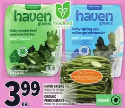 Metro HAVEN GREENS offer