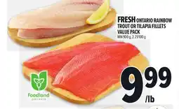 Metro FRESH ONTARIO RAINBOW TROUT OR TILAPIA FILLETS offer