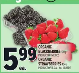 Metro ORGANIC BLACKBERRIES offer