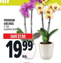 Metro PREMIUM ORCHIDS offer