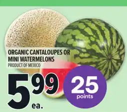 Metro ORGANIC CANTALOUPES OR MINI WATERMELONS offer