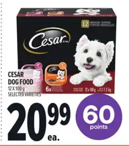 Metro CESAR DOG FOOD offer